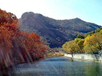 澳门天天开奖免费资料，上海钢塑土工格栅